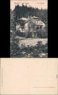 Kipsdorf-Altenberg (Erzgebirge) Partie An Der Villa Johanna 1916  - Kipsdorf