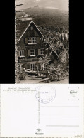 Ansichtskarte Torfhaus (Harz)-Altenau Sporthotel Brockenblick Im Winter 1953 - Altenau