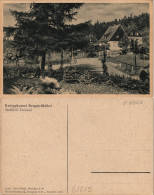 Ansichtskarte Zwiesel-Bad Gottleuba-Berggießhübel Stadtpartie 1927 - Bad Gottleuba-Berggiesshuebel