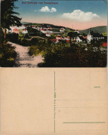 Ansichtskarte  Bad Gottleuba Berggießhübel Stadt - Tannenbusch 1932 # - Bad Gottleuba-Berggiesshübel