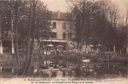 91-BALLANCOURT-  L'ILE VERTE, PROPRIETAIRE FELIX MIGGERODE, LES ETANGS DE LA TERRASSE - Ballancourt Sur Essonne