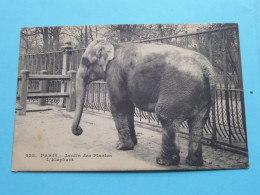 L' ELEPHANT > Jardin Des Plantes à PARIS ( Edit. 238 ) Anno 1915 + Taxe France ( Voir SCANS ) ! - Elephants