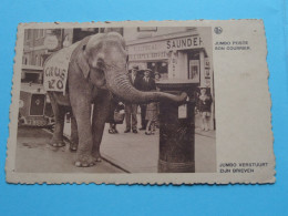 JUMBO Poste Son Courrier / Verstuurt Zijn Brieven ( Edit. Chocolat MARTOUGIN ) Anno 19?? ( Voir SCANS ) ! - Elephants