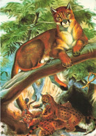 ANIMAUX & FAUNE - Puma - Les Grands Félins - Puma - Felis Concolor - Photo Jessueld Arepi - Carte Postale Ancienne - Maiali