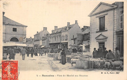 18-SANCOINS- PLACE  DU MARCHE AUX MOUTONS - Sancoins