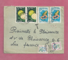 Lettre De 1970 Pour La France - YT N° 441 En Paire Et 442 X 2 - France YT Taxe N° 96 Et 99 - Kamerun (1960-...)