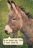 ANIMAUX & FAUNE - Anes - Je Ne Serai Pas Triste Si Vous étiez Là... - Carte Postale Ancienne - Burros