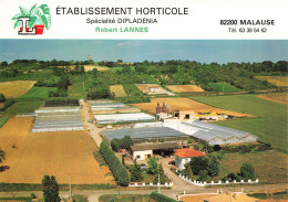 Malause * Etablissement Horticole Horticulteur Ets Robert LANNES , Moissac * Entreprise Industrie Usine - Autres & Non Classés