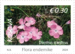 Kosovo Stamps 2024. Flora: Dianthus Scardicus. Definitive Stamps 0.30 MNH - Kosovo