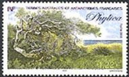 TAAF 2003 - Flore - Phylica - Unused Stamps
