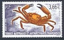 TAAF 2002 - Crabe De Fond - 1 V. - Crustaceans
