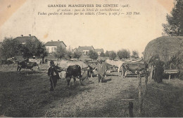 Tours * Grandes Manoeuvres Du Centre 1908 * 9ème Section Parc Bétail Ravitaillement , Vaches Gardées Et Traites Soldats - Tours