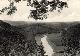 BELGIQUE - Environs De Bertrix - La Semois à "La Saurpier" Et Le "Macca" - Carte Postale - Bertrix