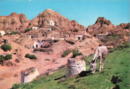 ANIMAUX & FAUNE - Anes - Granada - Série 45 N149 - Cuevas - Les Cavernes - Carte Postale Ancienne - Burros