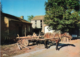 ANIMAUX & FAUNE - Chevaux - Granada - Vieille Ferme - Cheval En Train De Tirer Une Voiture - Carte Postale Ancienne - Horses