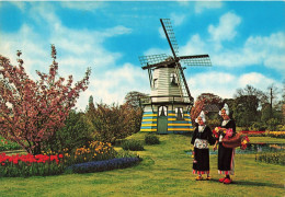 ETATS-UNIS - Holland - Bloemenland - Molenland - Land Of Flowers And Wind Mills  - Carte Postale Ancienne - Autres & Non Classés