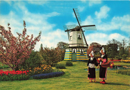 ETATS-UNIS - Holland - Bloemenland - Molenland - Land Of Flowers And Wind Mills  - Carte Postale Ancienne - Sonstige & Ohne Zuordnung