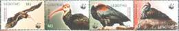 LESOTHO 2004 - W.W.F. - Southern Bald Ibis - Bande De 4 - Lesotho (1966-...)