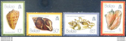 Definitiva. Conchiglie 1981. - Belize (1973-...)