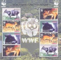 LIBERIA 2005 - WWF - Cephalophus Jentiki - Feuillet  - Koeien