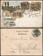 Litho AK Mühlhausen (Thüringen) Gruss Vom Restauration Schwanenteich 1897 - Mühlhausen