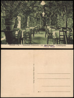Ansichtskarte Meerane Restaurant Felsenkeller Tuffsteingrotte 1913 - Meerane