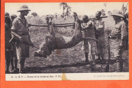 38469 / ⭐ Cliché 2e Expédition CITROEN Centre-Afrique 1924-1925 Croisière Noire Retour Chasse Au Lion A.E.F.  - Other & Unclassified
