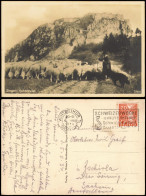 Ansichtskarte Singen (Hohentwiel) Schäfer, Schafe - Hohentwiel 1934 - Singen A. Hohentwiel