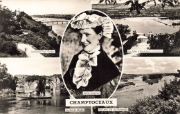 FRANCE - Champtoceaux - La Table D'Orientation Et La Loire - Le Cul Du Moulin - La Loire - Carte Postale - Champtoceaux