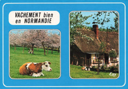 ANIMAUX & FAUNE - Vaches - Vachement Bien En Normandie - Normandie Pittoresque - Carte Postale Ancienne - Mucche