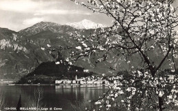 ITALIE - Bellago - Lago Di Como - Fleurs - Carte Postale - Como