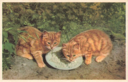 ANIMAUX & FAUNE - Chats - Deux Chats En Train De Manger Leurs Nourritures - Carte Postale Ancienne - Cats