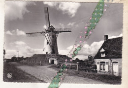 Damme, De Molen, Le Moulin - Damme