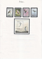 Antigua Et Barbuda - Oiseaux - Collection Vendue Page Par Page - Neufs ** Sans Charnière - TB - Antigua And Barbuda (1981-...)