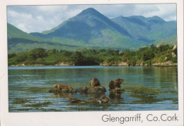 91303 - Irland - Glengariff - Ca. 2000 - Cork