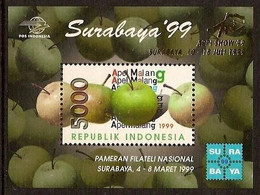 Indonesië / Indonesia 1999 Nr 1999 Postfris/MNH Wereldpostzegeltentoonstelling SURABAYA'99, 10 Jaar APPI - Indonesië