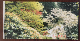 Rock Plant In Rock Park,China 1999 Lushan Botanical Garden Advertising Pre-stamped Card - Trees