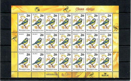 Belarus 2006 . Birds (Blue Tit ). Rare.  M/S Of 21 . Michel # 623v Bogen ( 623v I ). - Belarus