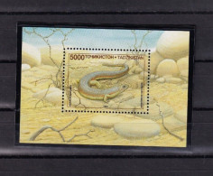 SA01 Tajikistan 1995 Native Lizards Mini Sheet Mint - Tadschikistan