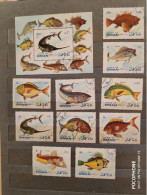 1972	Oman	Fishes (F84) - Omán