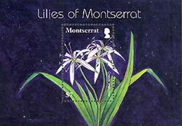 MONTSERRAT 2007 -  Lys De Montserrat - Bloc - Montserrat