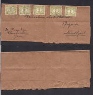 DUTCH INDIES. 1921 (25 Nov) Tasikmalaja - Germany, Stuttgart. Multifkd Complete Wrapper, Tied Cds. - Indonesië