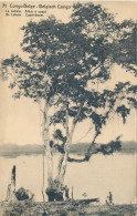 B6 BELGIAN CONGO PPS SBEP 43 VIEW 71 USED - Ganzsachen