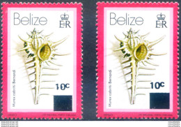 Definitiva. Conchiglie. Soprastampati 1981-1983. - Belize (1973-...)