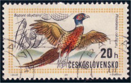 290 Czechoslovakia Faisan Pheasant Coq Rooster Cock (CZE-38) - Galline & Gallinaceo