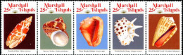 MARSHALL 1989 - Coquillages - 5 V.  - Muscheln