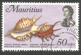 640 Mauritius Ile Maurice Coquillage Violet Orange Spider Shell (MRC-90b) - Maurice (1968-...)