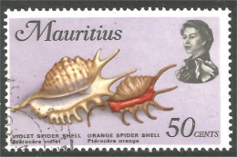 640 Mauritius Ile Maurice Coquillage Violet Orange Spider Shell (MRC-90a) - Maurice (1968-...)