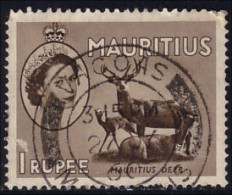 640 Mauritius Ile Maurice Sambar Antelope (MRC-59) - Pájaros Cantores (Passeri)