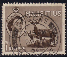 640 Mauritius Ile Maurice Sambar Antelope (MRC-59) - Sperlingsvögel & Singvögel